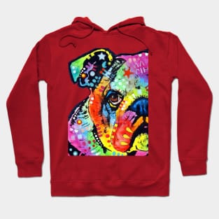 Lovely Multicolor Dog Hoodie